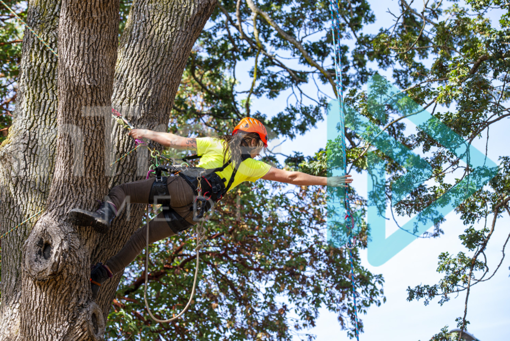 Arborist Images